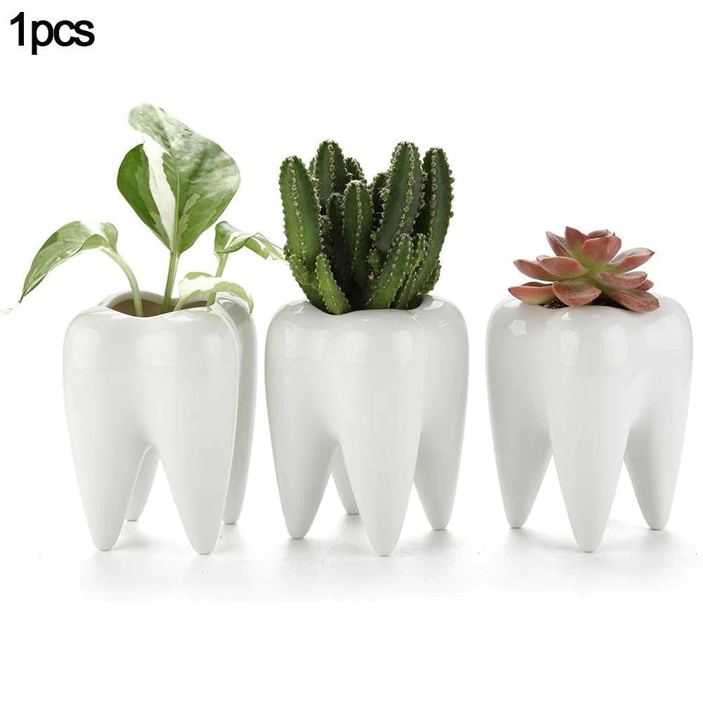 Tooth Flowerpot - Ceramic