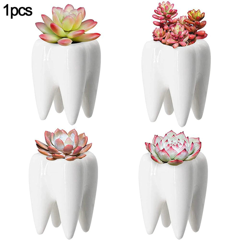 Tooth Flowerpot - Ceramic