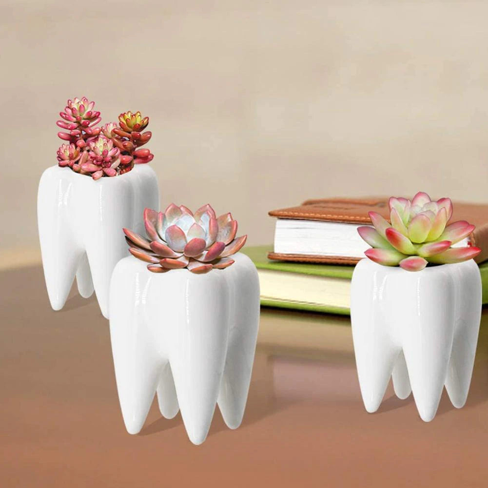 Tooth Flowerpot - Ceramic